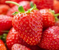 تغذیه برای کنکور